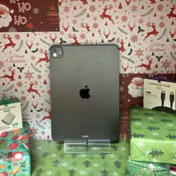 iPad Pro 11” M4 Wi-Fi 256gb 