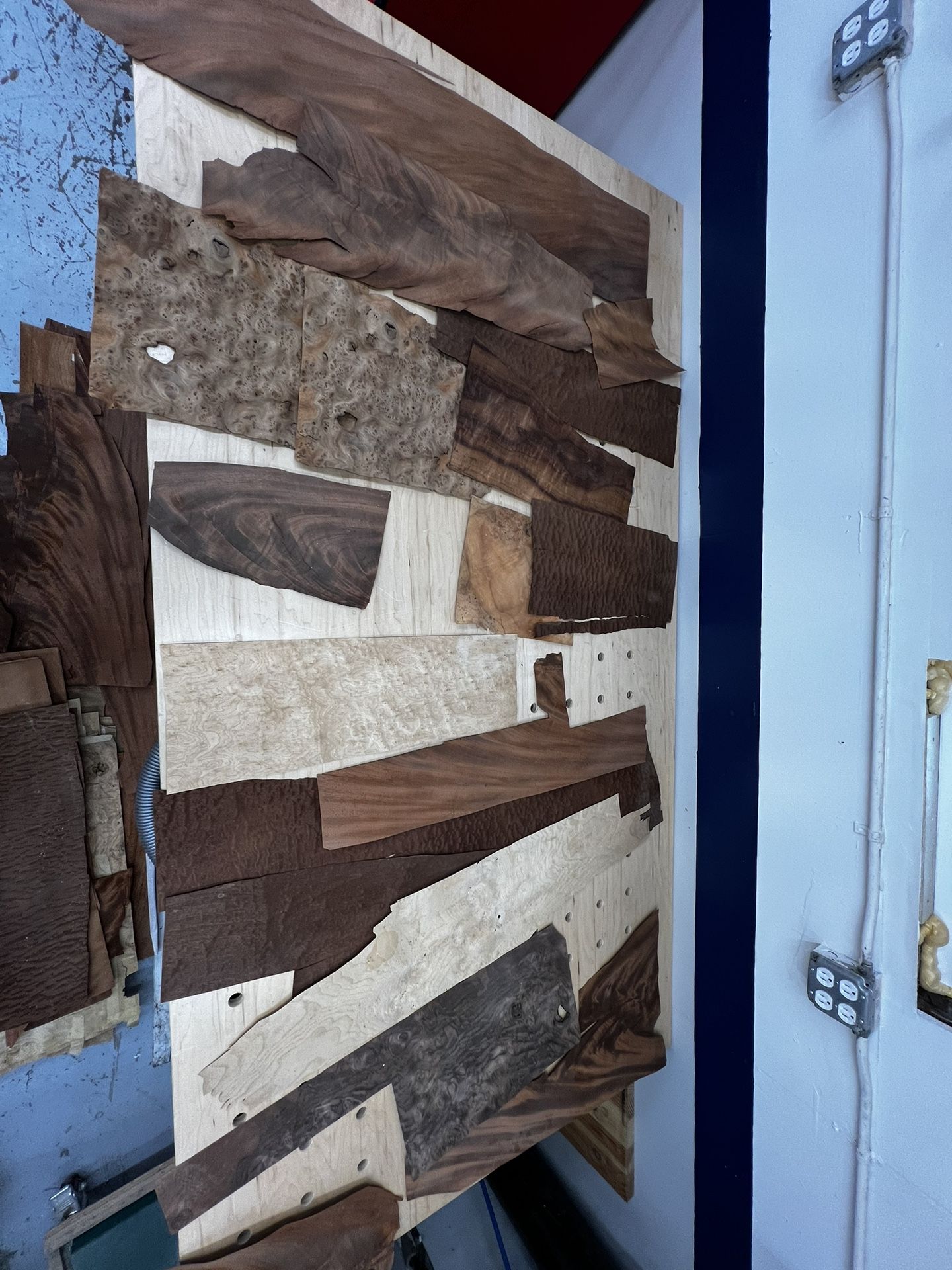 Large Collection Of Burl And Figured Veneer