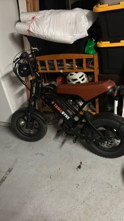 E bike