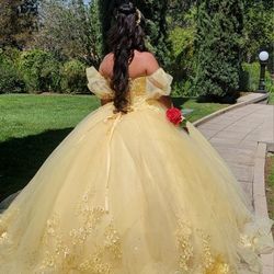 Quinceańera Or Sweet 16TH Beautiful  Dress