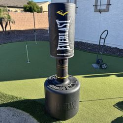Everlast Boxing Bag