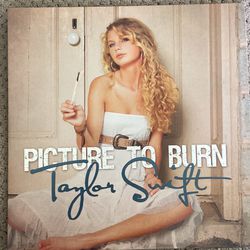 Taylor Swift Picture To Burn Limited Edition LP (One Of 4,000 Copies)