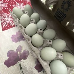 Eggs Blue