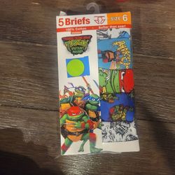 Boys Briefs Size 6