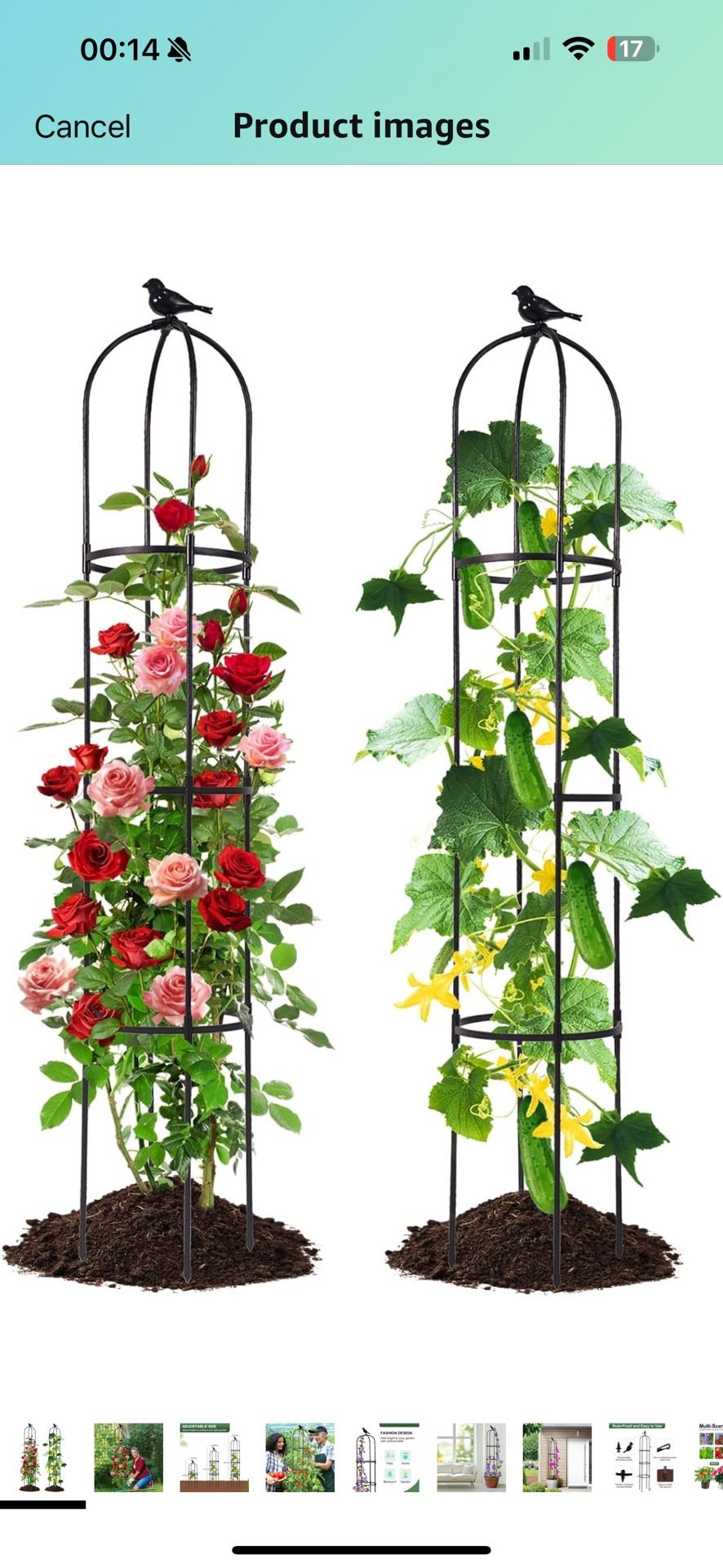 Garden Trellis for Climbing Plants Outdoor, 2 Pack 6ft Tall Plant Support for Potted Plants Climbing Vine Rose Clematis Vegetable Cucumber, Garden Obe