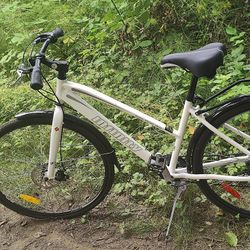 Infinity Boss Three Disc Bike