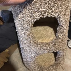 Cat Tower