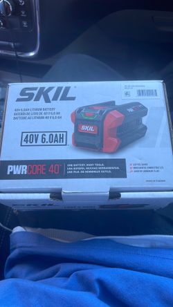 Skil battery