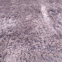 Dynamic Rug 5x8