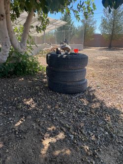 Mid life tires