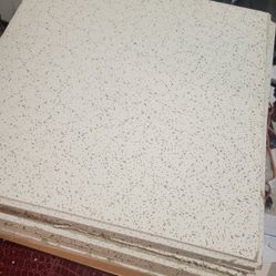 Ceiling tiles 2 ft by 2 ft