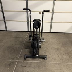 Schwinn Air Dyne AD6