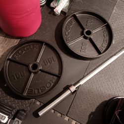 Rogue 100lb Olympic Deep Dish Plates With Barbell