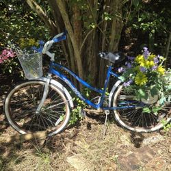 Bicycle Yard Art