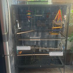 Bird Cage 