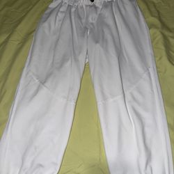 Evoshield Softball Pants Size Md