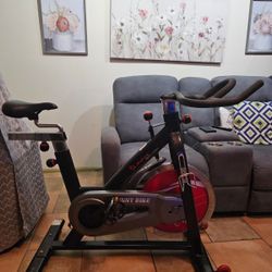 Sunny- Workout Bike