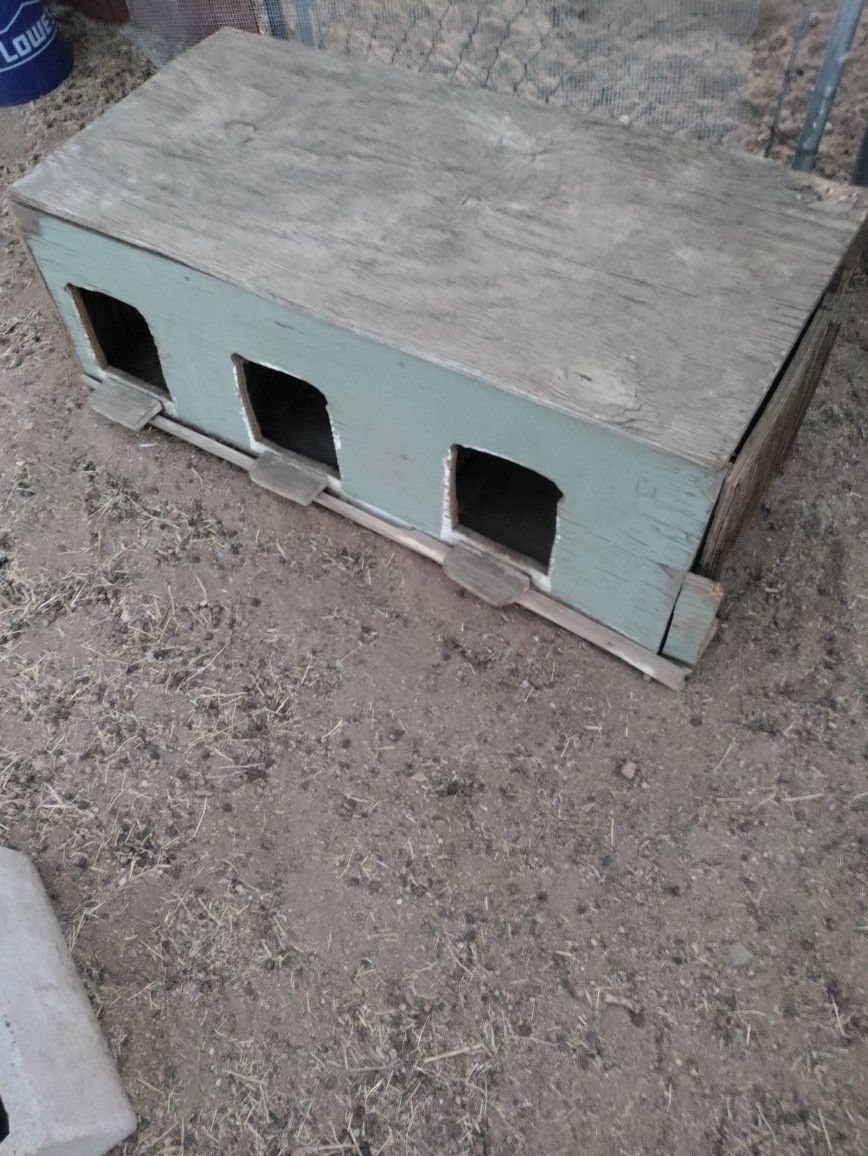 Green Chicken Nest