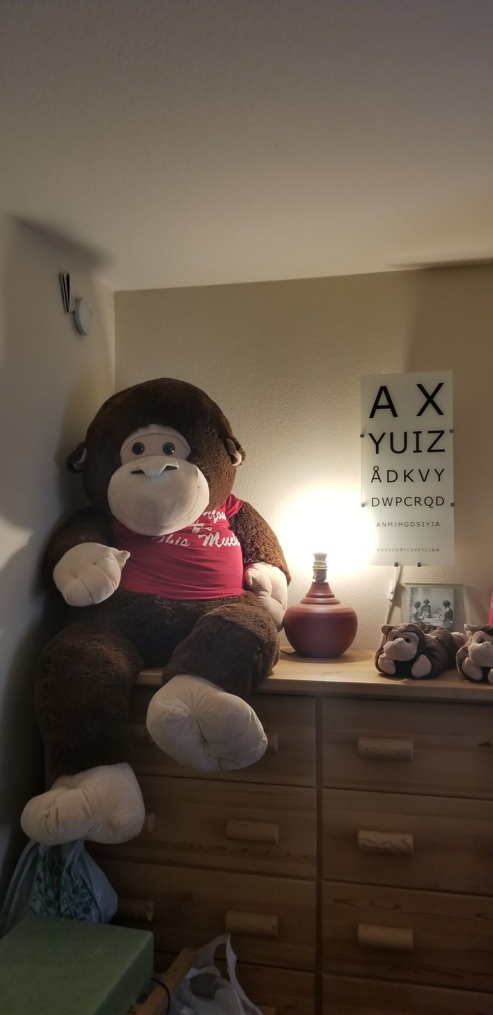 5 foot monkey