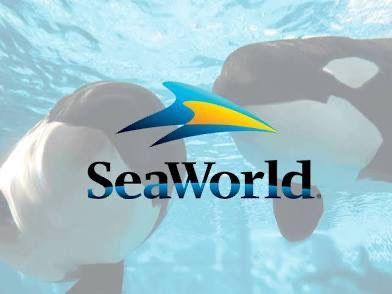 π¬π‘ $25 SEAWORLD + SESAME PLACE! π‘π¬ποΈ