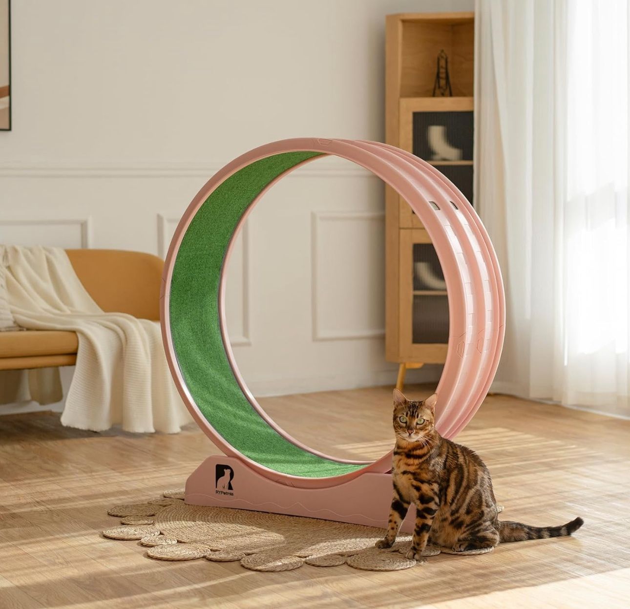 Pink Cat Exercise Wheel