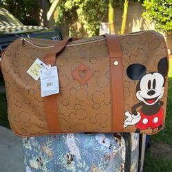 Disney Carry On Bag 