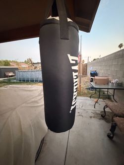 Everlast Heavy Punching Bag