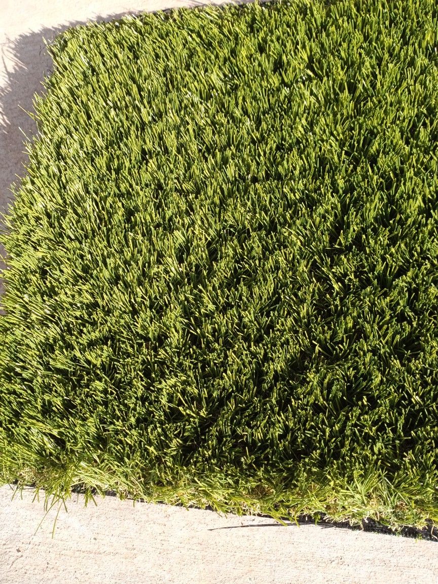 Artificial Turf Desert Rye