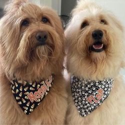 Halloween Bandanas - Over The Collar