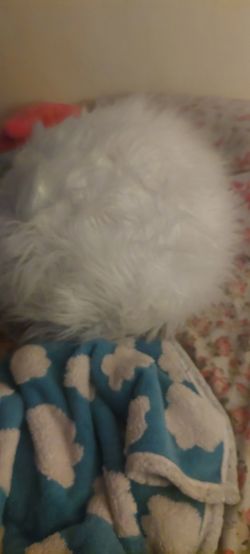 Huge White Pufball Pillow