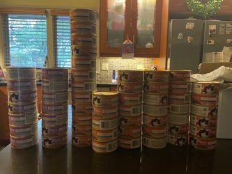 51 cans of paw brand cat food