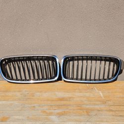 2012-2019 BMW 320i 328i 335i Kidney Grille ORIGINAL