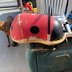 Wheeler Bug