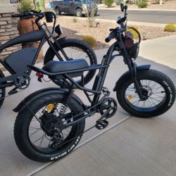 Electric Bikes 