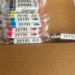 Canon Printer Ink 250 & 251 