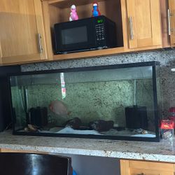 Fish Tank 55 gallon tank