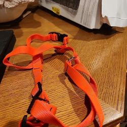 LupinePet Red 3/4" Adjustable Roman Dog Harness, 12-20", Small Dogs