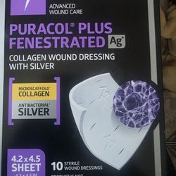 Collagen Wound Dressing With Silver