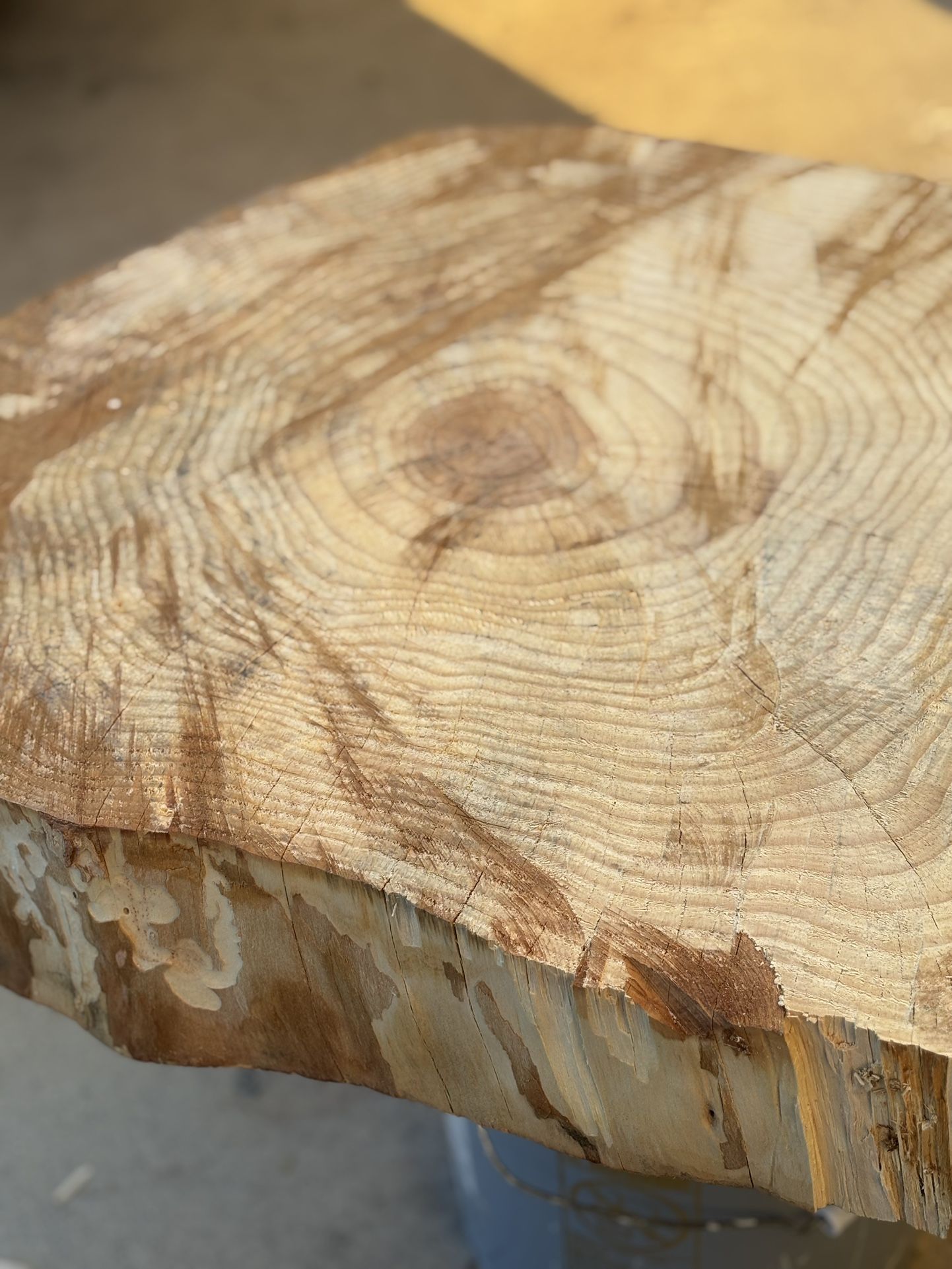 Rustic wood slice, .