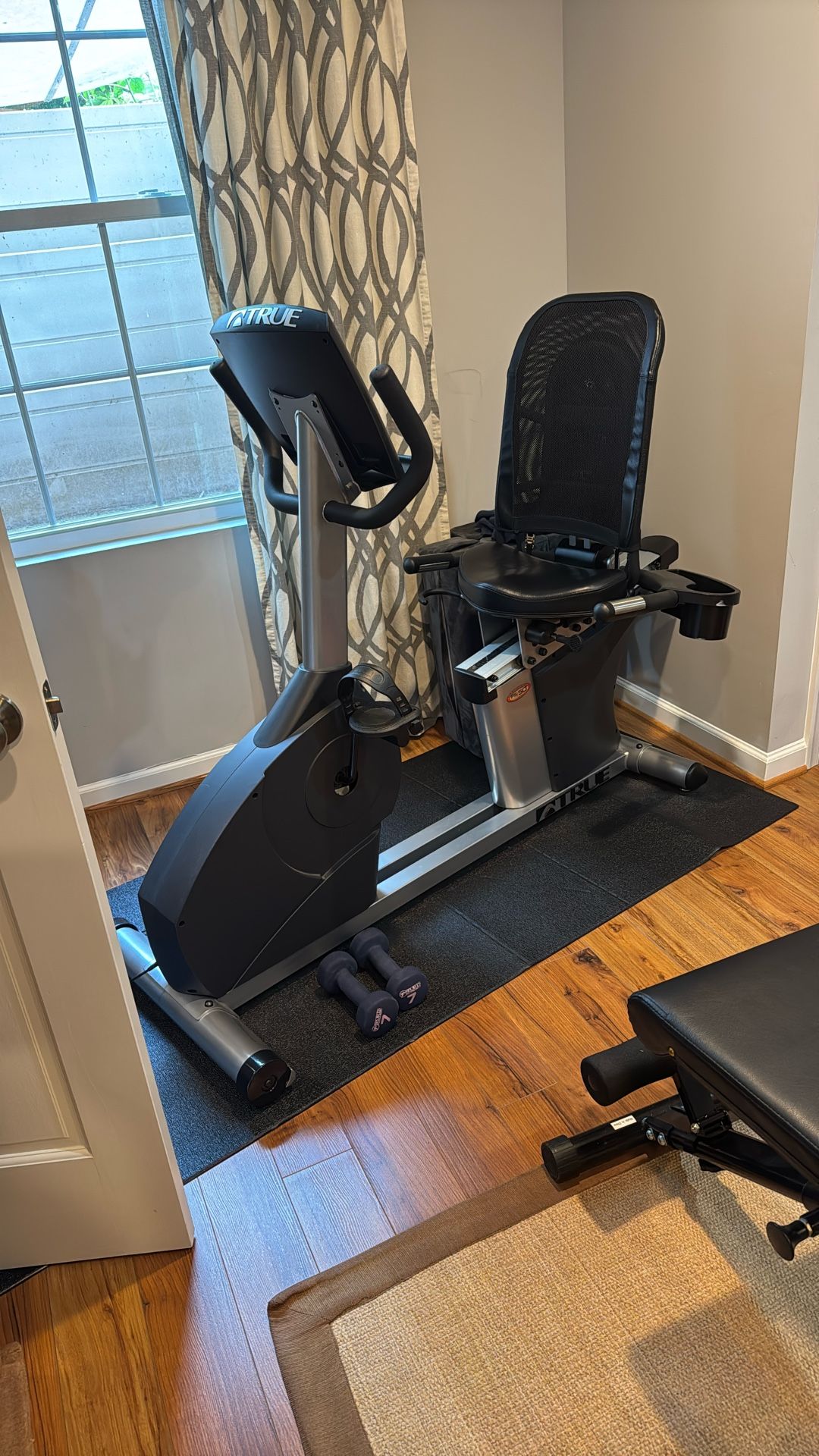Truefitness Recumbent Bike