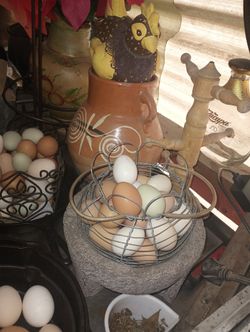 Huevos De Patio De Gallina 🐓