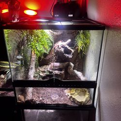 Reptile Exo Terra Enclosure 