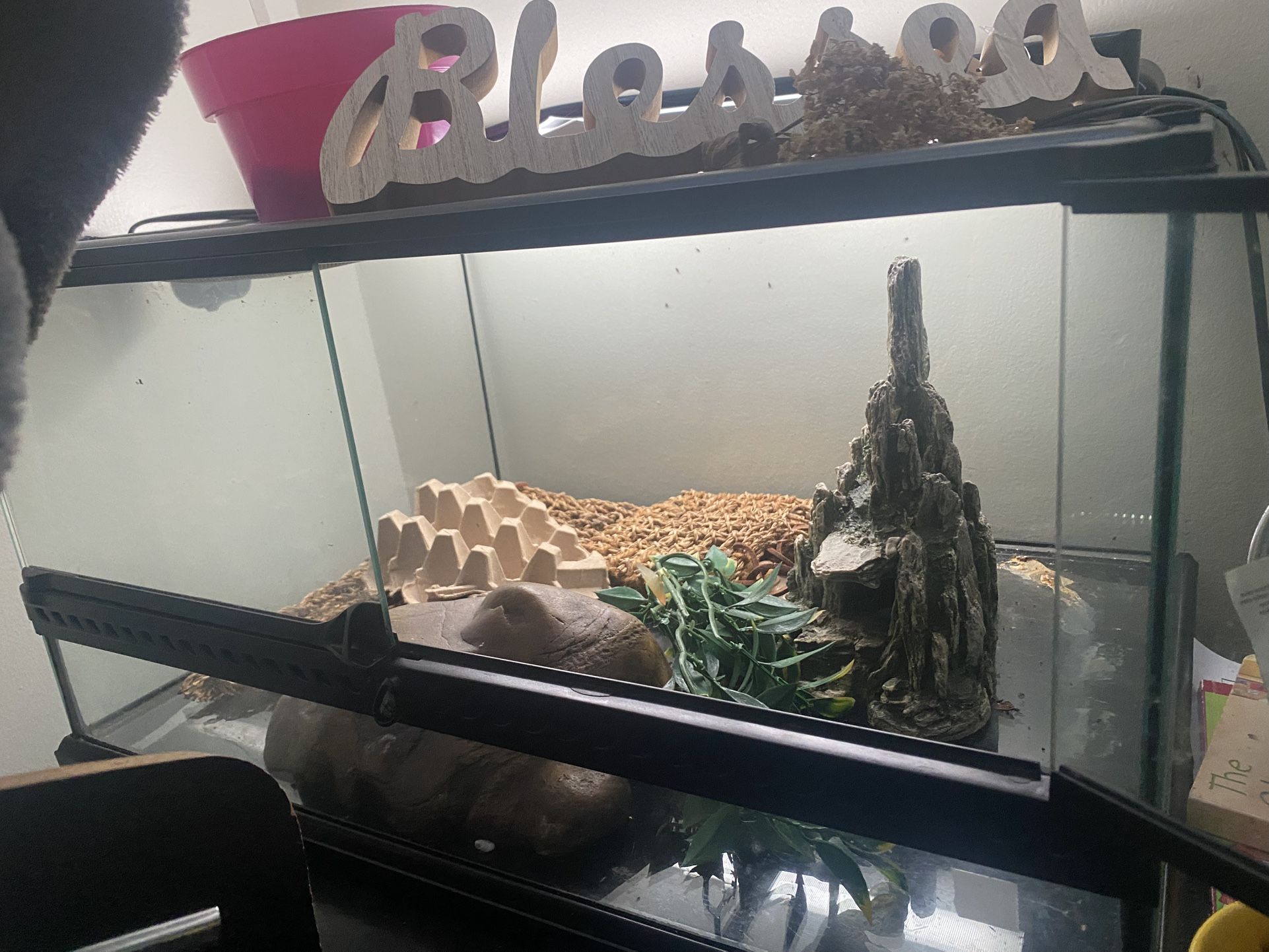 Fish/Reptile Tank/ Aquarium