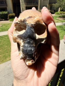 Volcano agate skull