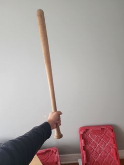 Bat