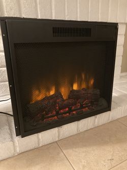 Fireplace Insert 