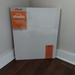 5 Art Canvases 20"x24" brand new