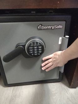 Sentrysafe Digital Safe