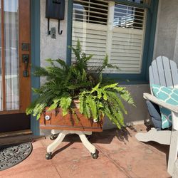 Upcycled Vintage  Drawer Indoor / Outdoor Planter Box