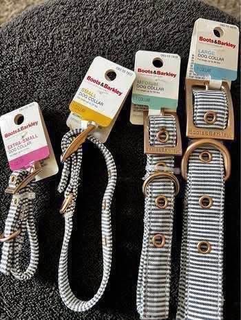 Dog collars - boots & Barkley Brand new